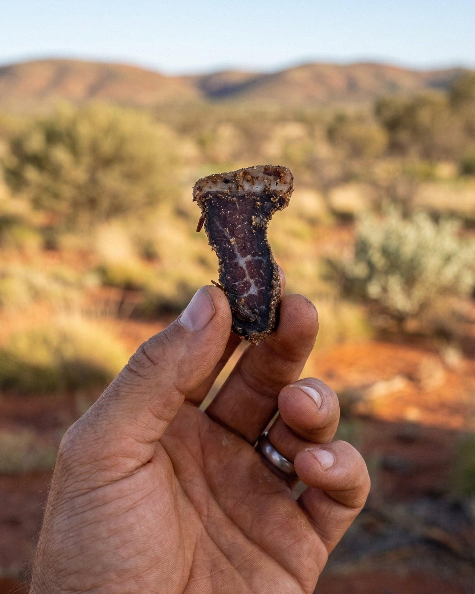 Hand holding a saltbush beef biltong or mineral against a desert landscape